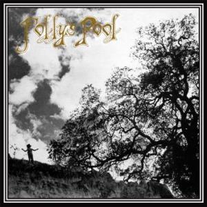 folly's pool: folly's pool