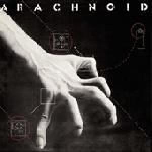 arachnoid: arachnoid