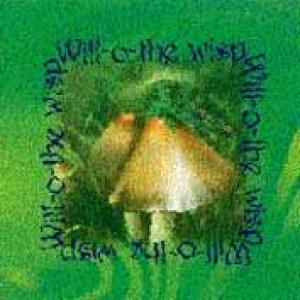 will-o-the wisp: will-o-the wisp