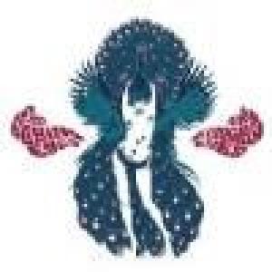 the flying eyes: the flying eyes