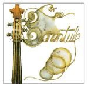 tarentule: tarentule