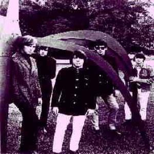 fever tree: san francisco girls