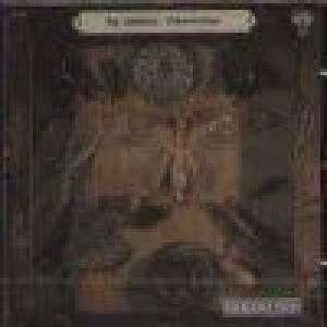 joy unlimited: schmetterlinge