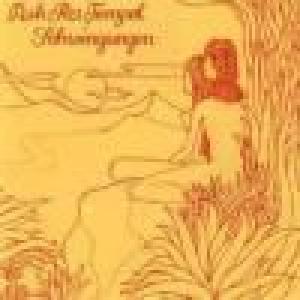 ash ra tempel: schwingungen
