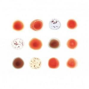 peter gabriel: scratch my back and i'll scratch yours