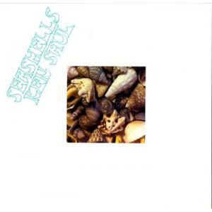 ken saul: seashells
