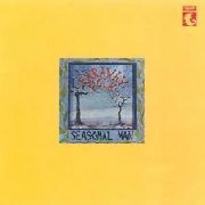 faraway folk: seasonal man