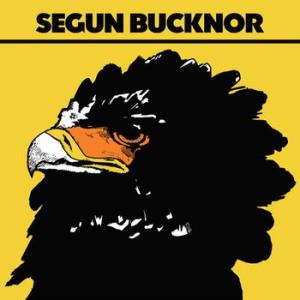 segun bucknor: segun bucknor