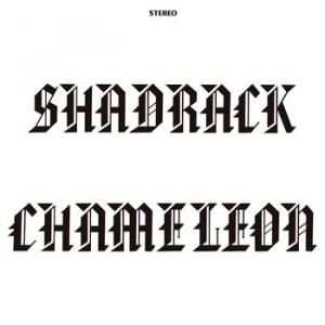 shadrack chameleon: shadrack chameleon