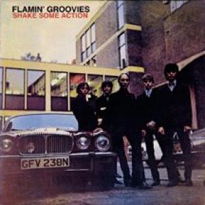 flamin' groovies: shake some action

