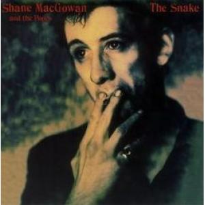 shane macgowan & the popes: the snake