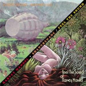 harvey mandel: shangrenade / feel the sound