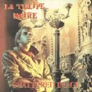 la tulipe noire: shattered image