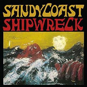 sandy coast: shipwreck