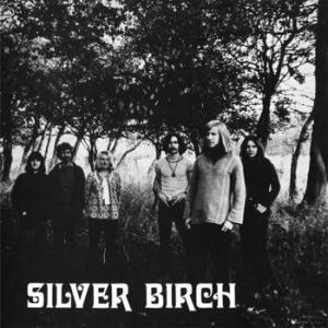silver birch: silver birch