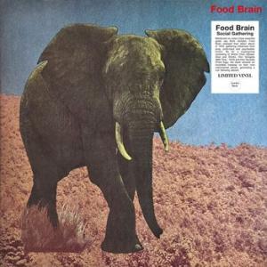 food brain: social gathering