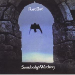 rare bird: somebody's watching