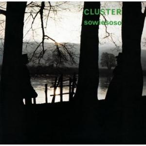 cluster: sowieso