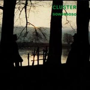 cluster: sowiesoso