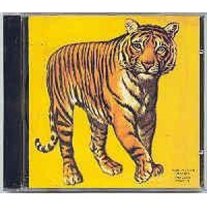 speed, glue and shinki: speed, glue and shinki