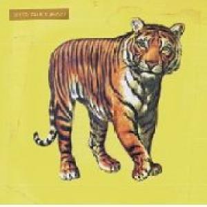 speed, glue & shinki: speed, glue & shinki