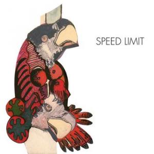 speed limit: speed limit