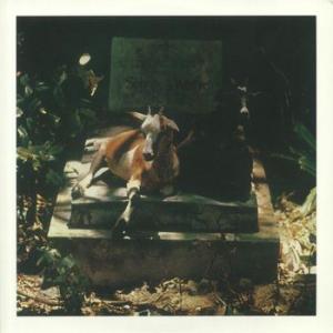 spirits & worm: spirits & worm