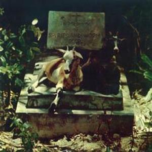 spirits & worm: spirits + worm