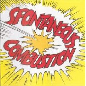 spontaneous combustion: spontaneous combustion