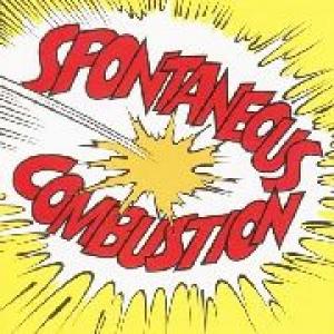 spontaneous combustion: spontaneous combustion