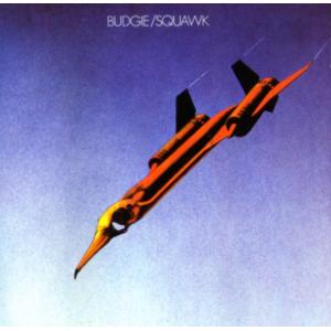 budgie: squawk
