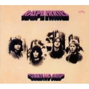 raspberries: Starting Over