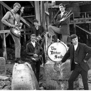 bitter seeds, the/rock shop, the: state of your mind