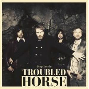 troubled horse: step inside
