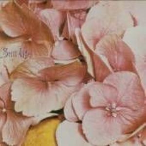 still life: still life