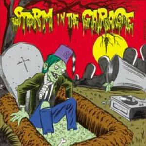 various artists: storm in the garage