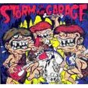 various: storm in the garage vol.2