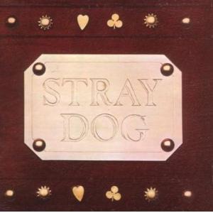 stray dog: stray dog