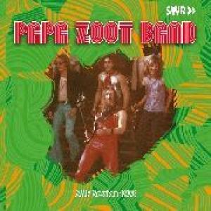 papa zoot band: swf session 1973