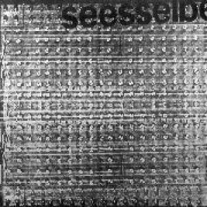 seesselberg: synthetic 1