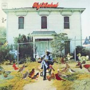 taj mahal: taj mahal