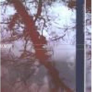 dancer: tales of the river bank