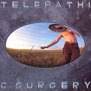 flaming lips: telepathic surgery