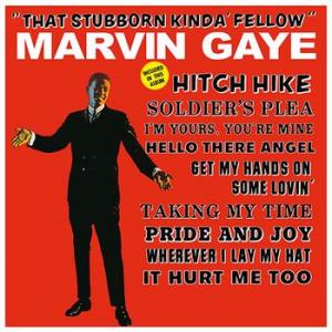 marvin gaye: that stubborn kinda' fellow