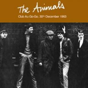 the animals: the beginning