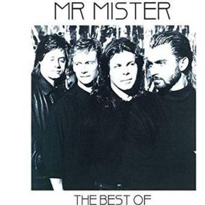 mr mister: the best of