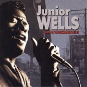 junior wells: the best of the vanguard years