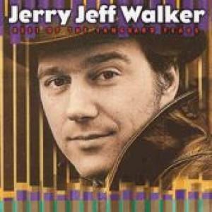 jerry jeff walker: the best of the vanguard years