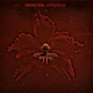 machine head: the burning red