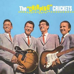 the crickets: the chirping crickets